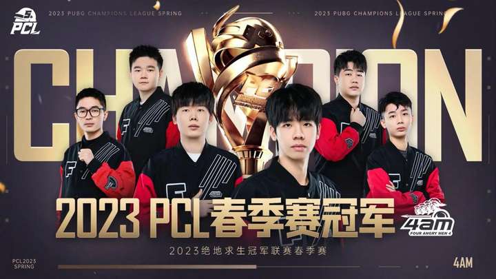 定性和决策 定性和决策