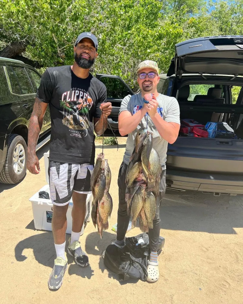 乎成了引援 乎成了引援